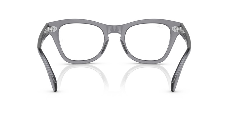 RB0707 OPTICS 5