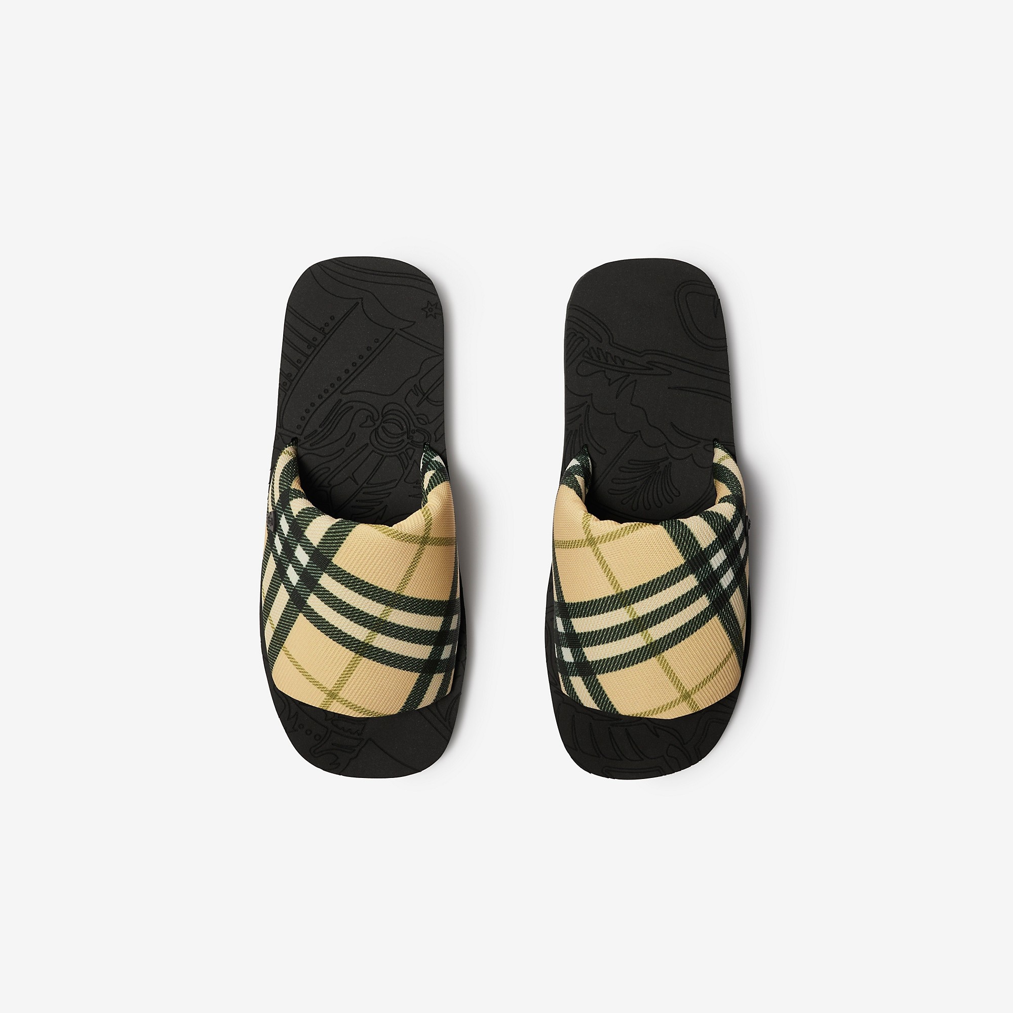 Check Trek Slides - 5