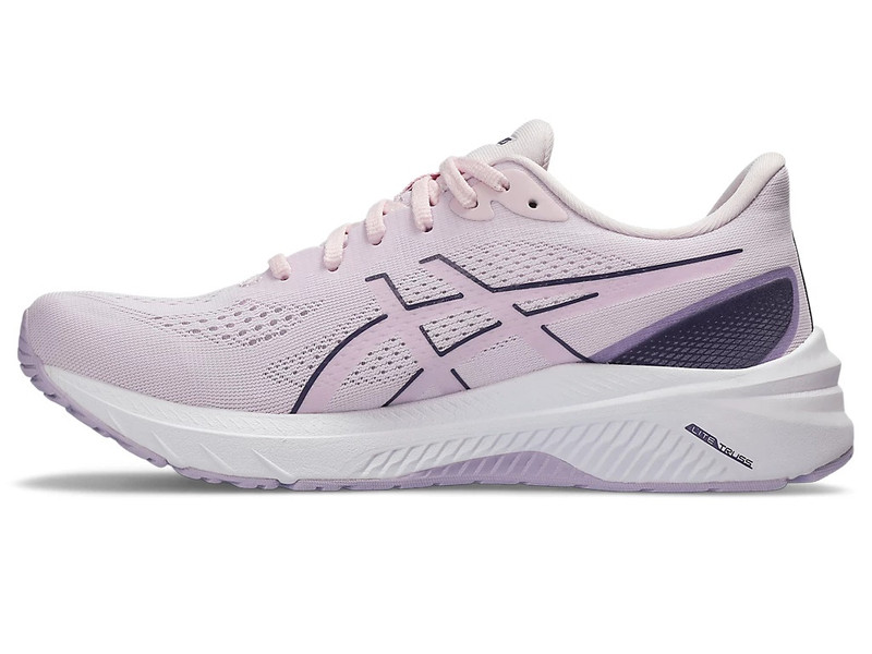 Asics GT-1000 12 outlook