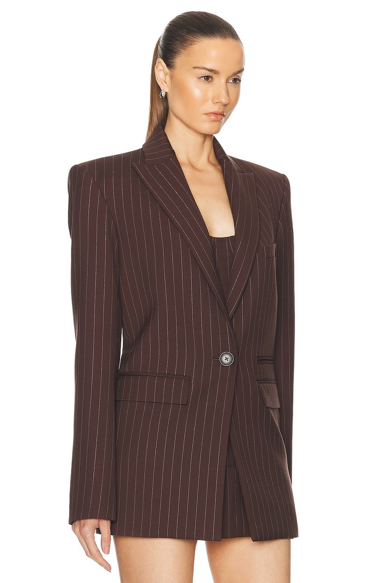 Lurex Pinstripe Single Breasted Oversize Blazer 3