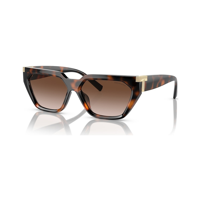 Tiffany & Co. TF4205U outlook