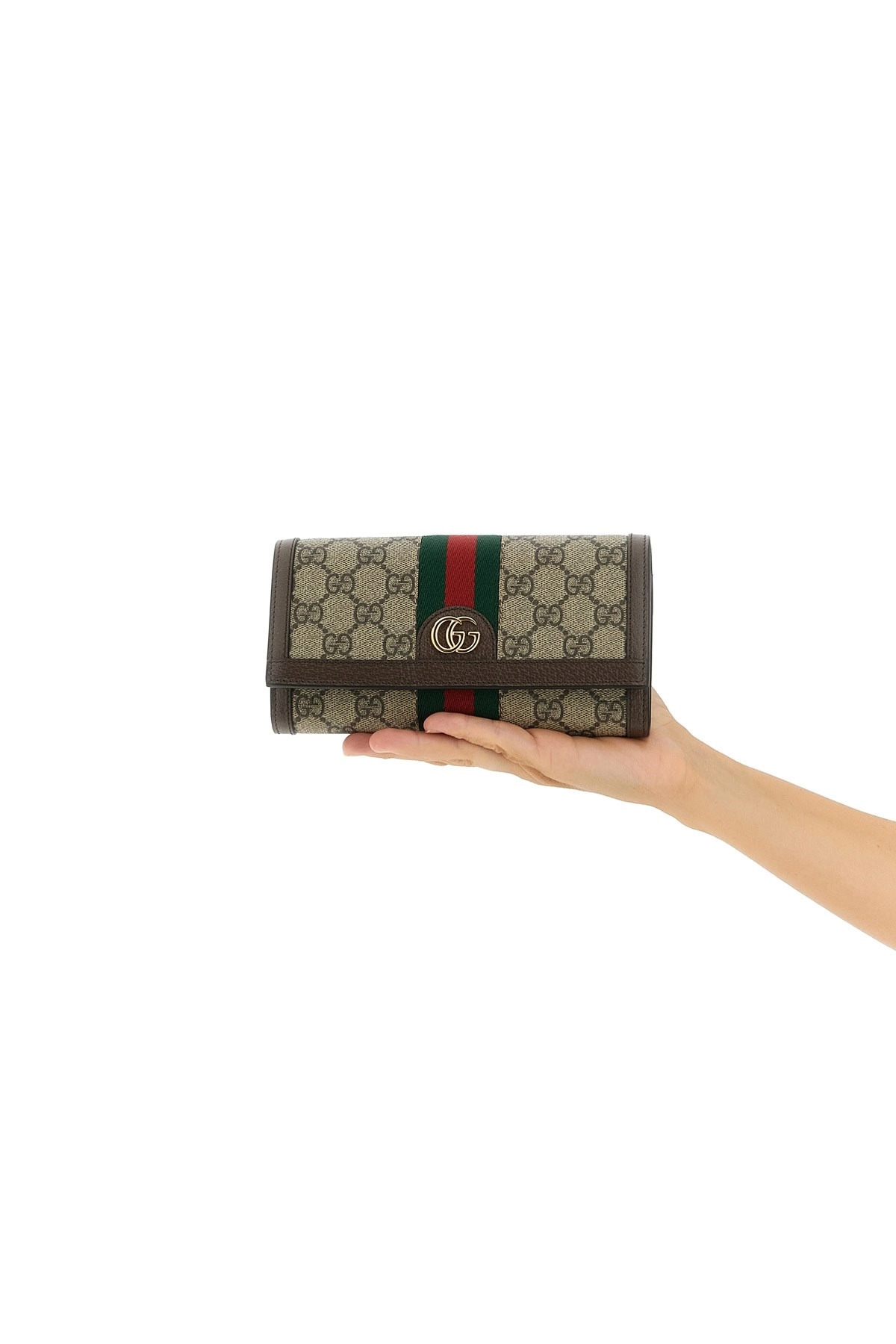 'Ophidia' wallet on chain - 2