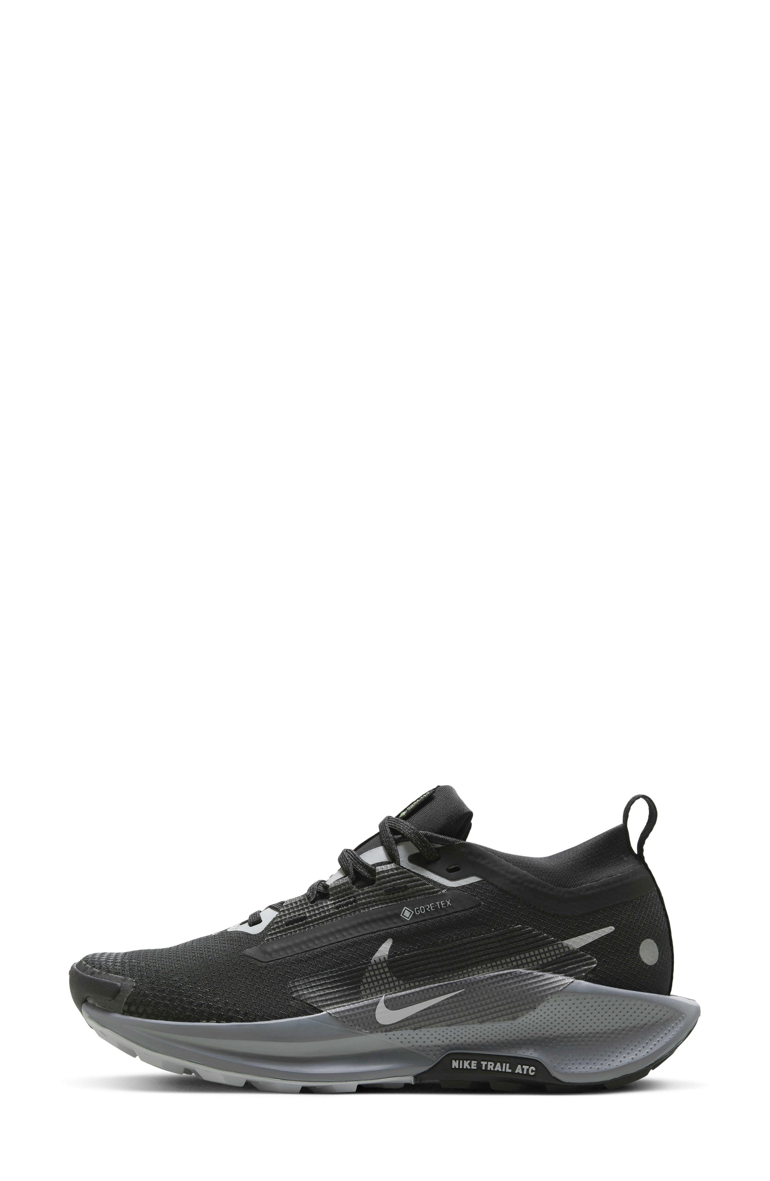 Nike Pegasus Trail 5 Gore-Tex® Waterproof Running Shoe in Black/Grey at Nordstrom - 2