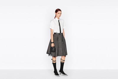 Dior Pleated Skirt outlook