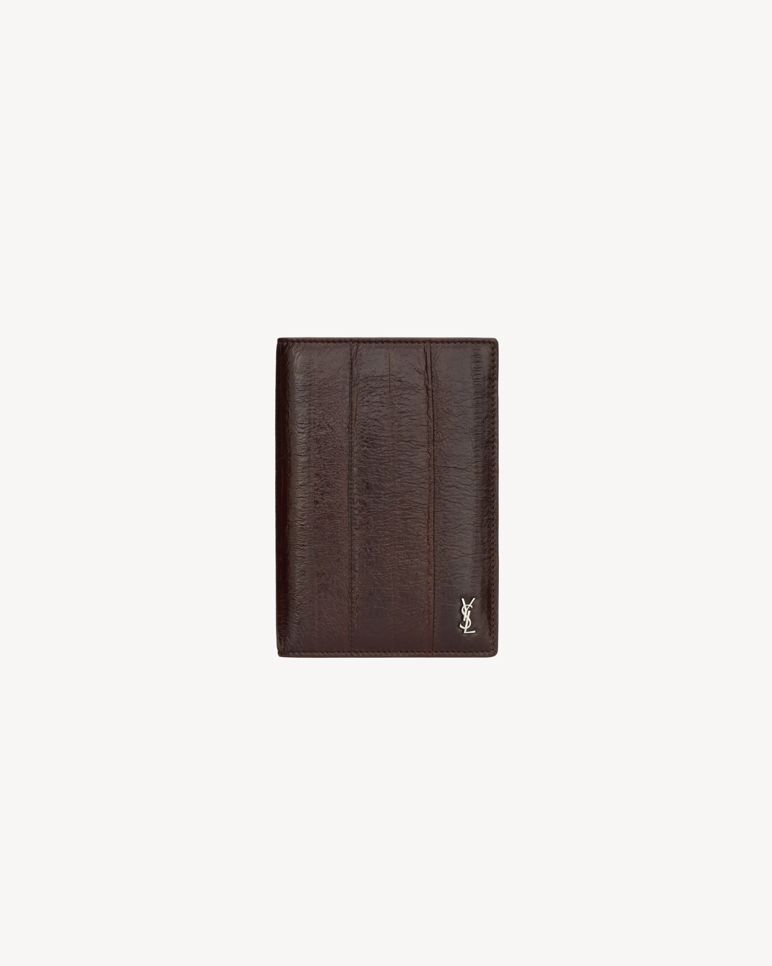 TINY CASSANDRE PASSPORT CASE IN EEL - 1