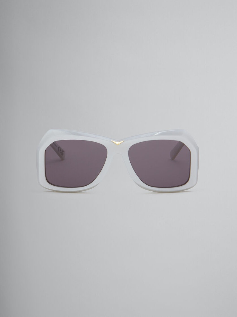 SILVER TIZNIT SUNGLASSES 1
