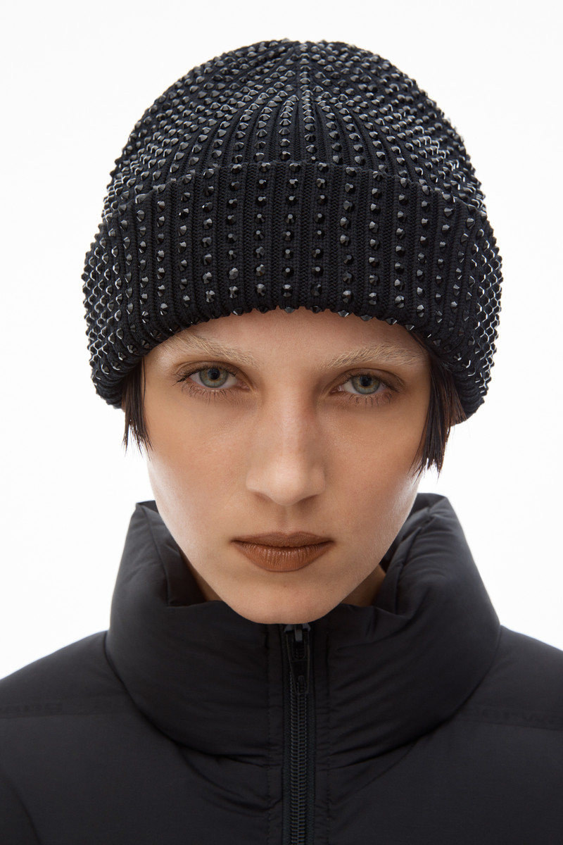 Alexander Wang crystal hotfix logo beanie outlook