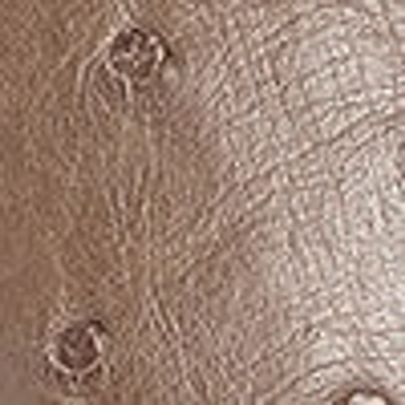 Cyd Shoe in Ostrich 4