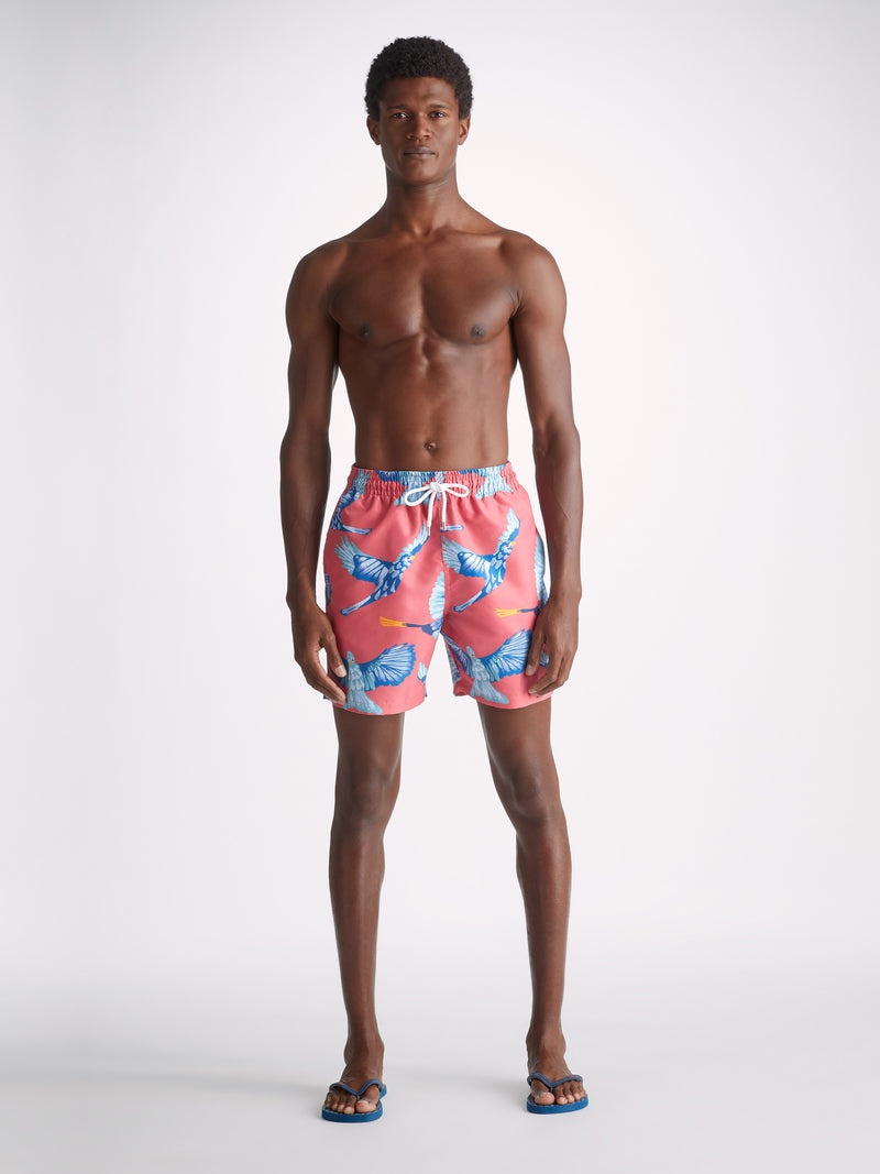Men's Swim Shorts Maui 54 Multi - 3