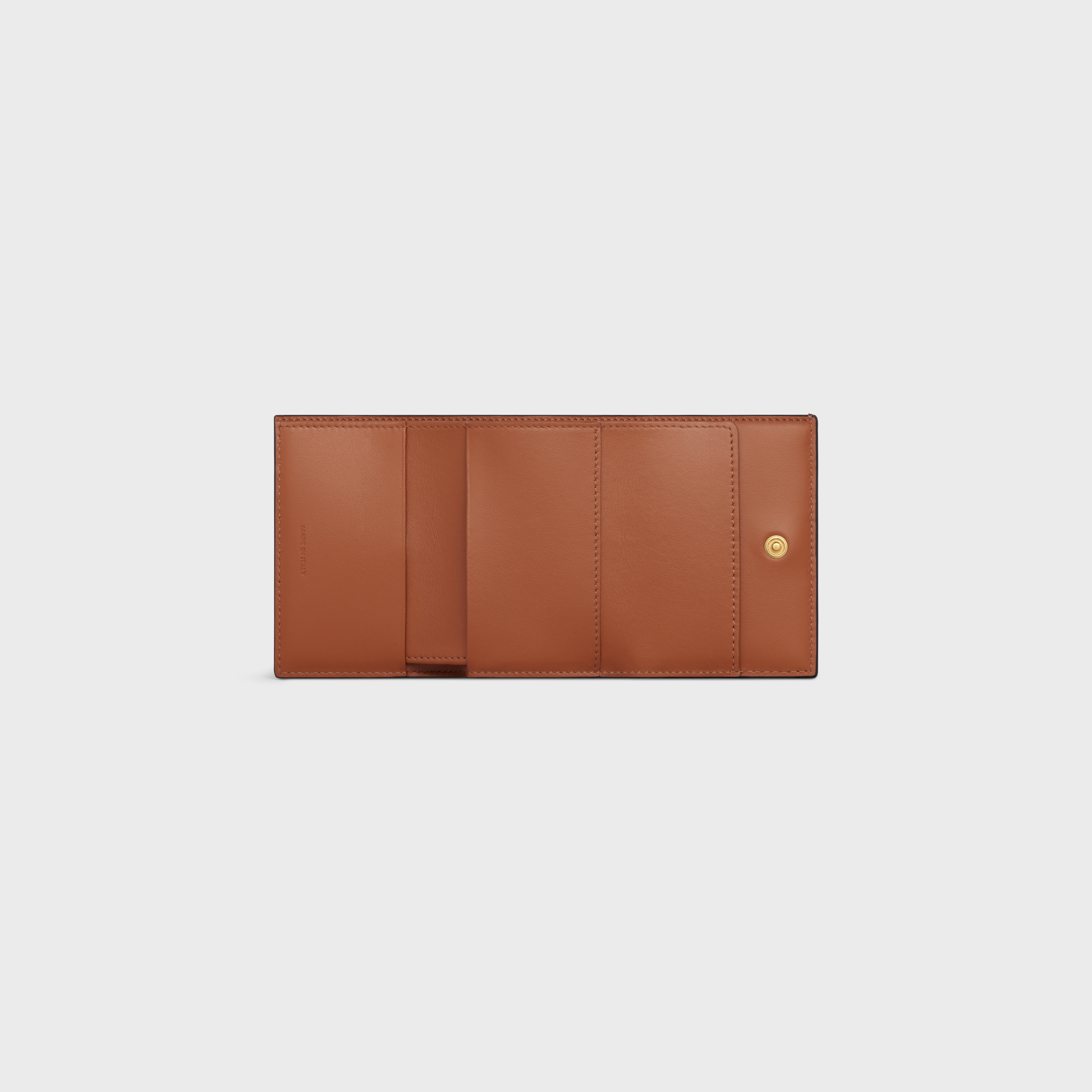 Folded Compact Wallet in Triomphe Canvas and Lambskin - 4