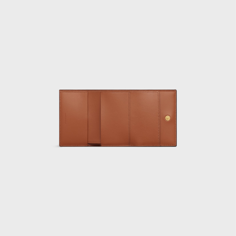 Folded Compact Wallet in Triomphe Canvas and Lambskin 4