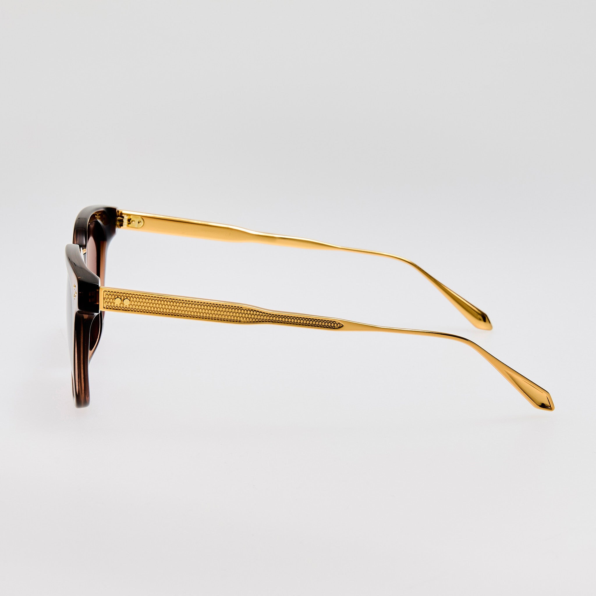 Evan Sunglasses in Brown and Gold - 4