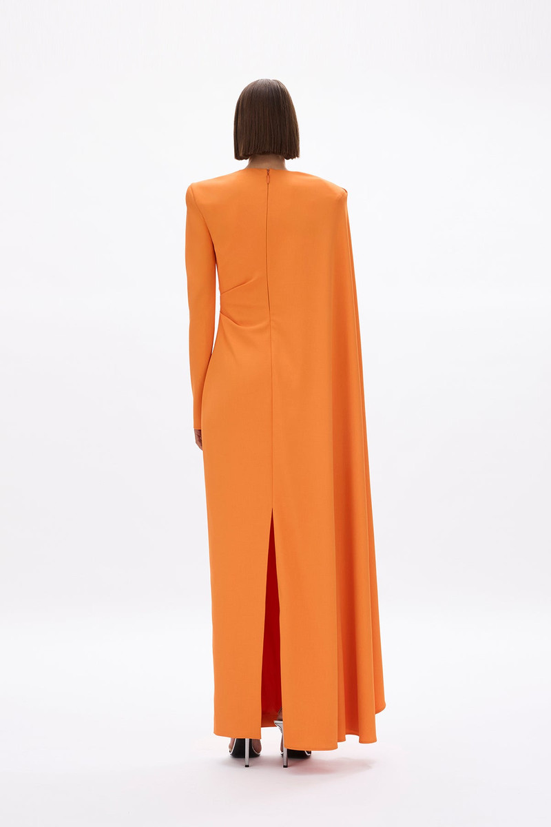 DION CAPE GOWN 4