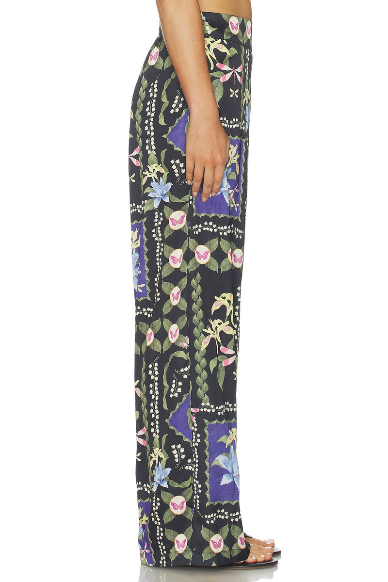 MISA Izzie Pant outlook