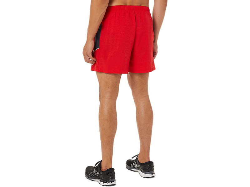 Asics MEN'S 5IN PR LYTE SHORT outlook