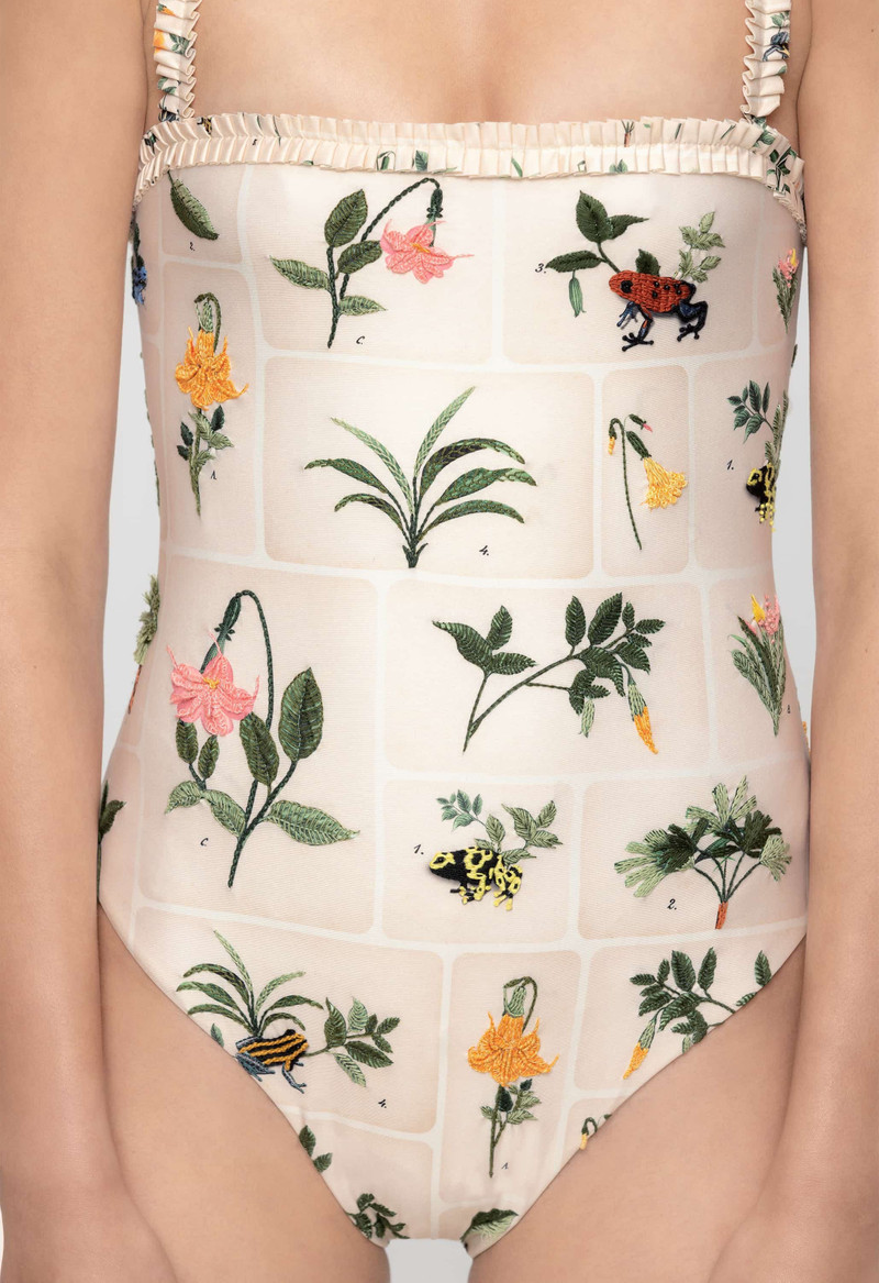 Limón Ranas One Piece 6