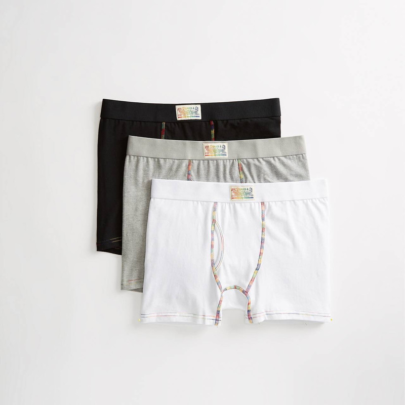 LEVI'S® PRIDE BOXER BRIEF (3 PACK) 1