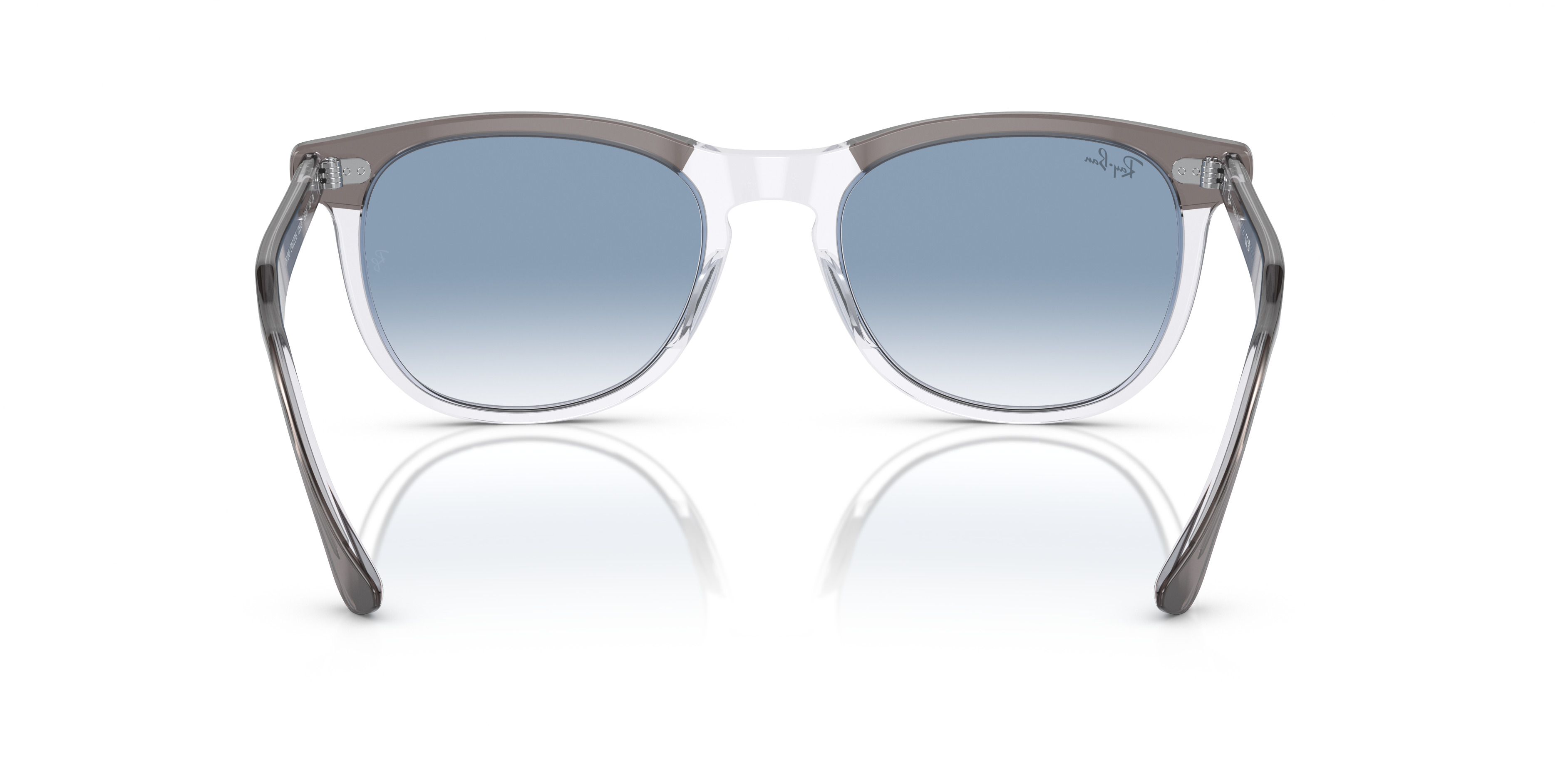 RB2398 Eagle Eye - 4
