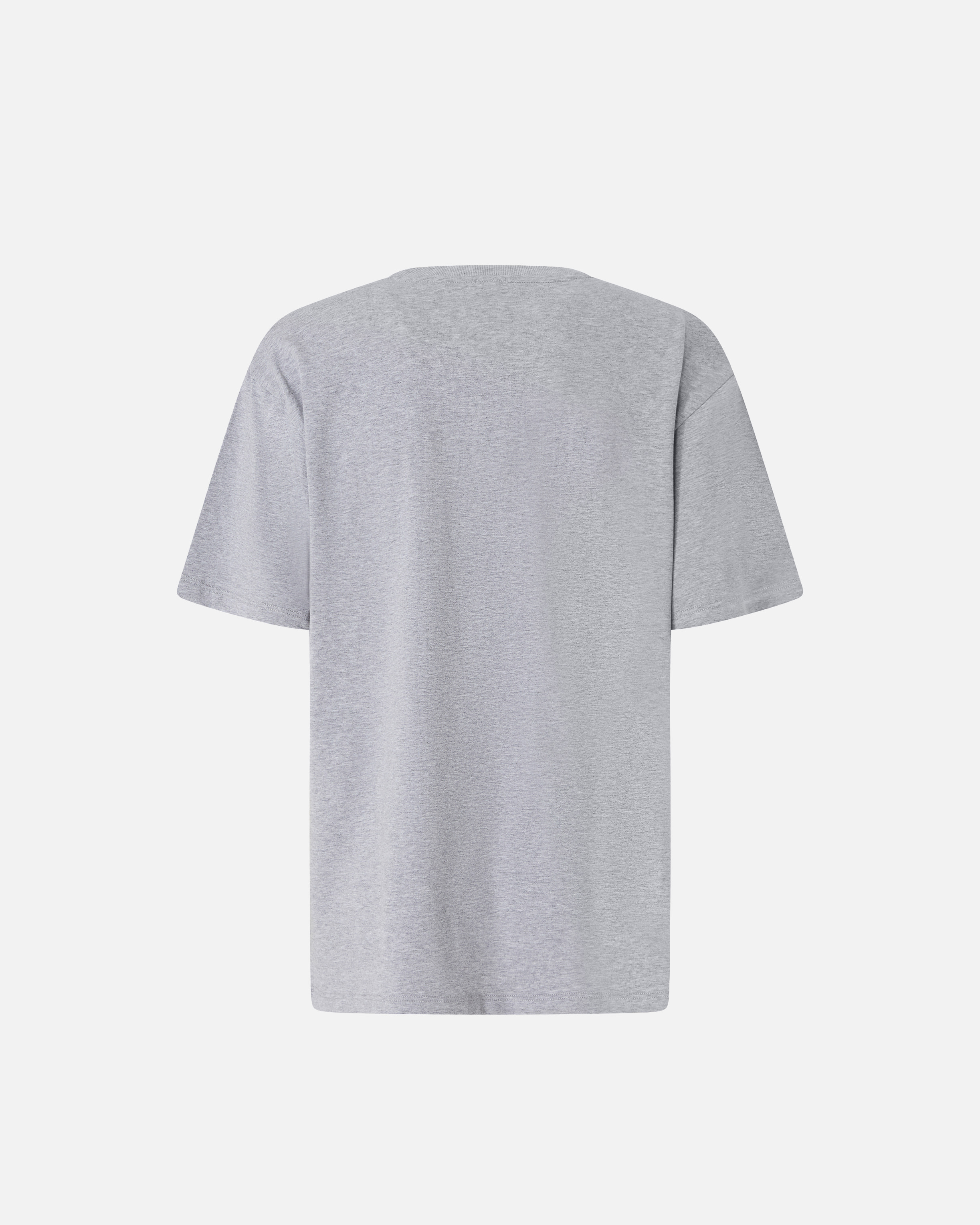 PRINTED MELANGE T-SHIRT - 6