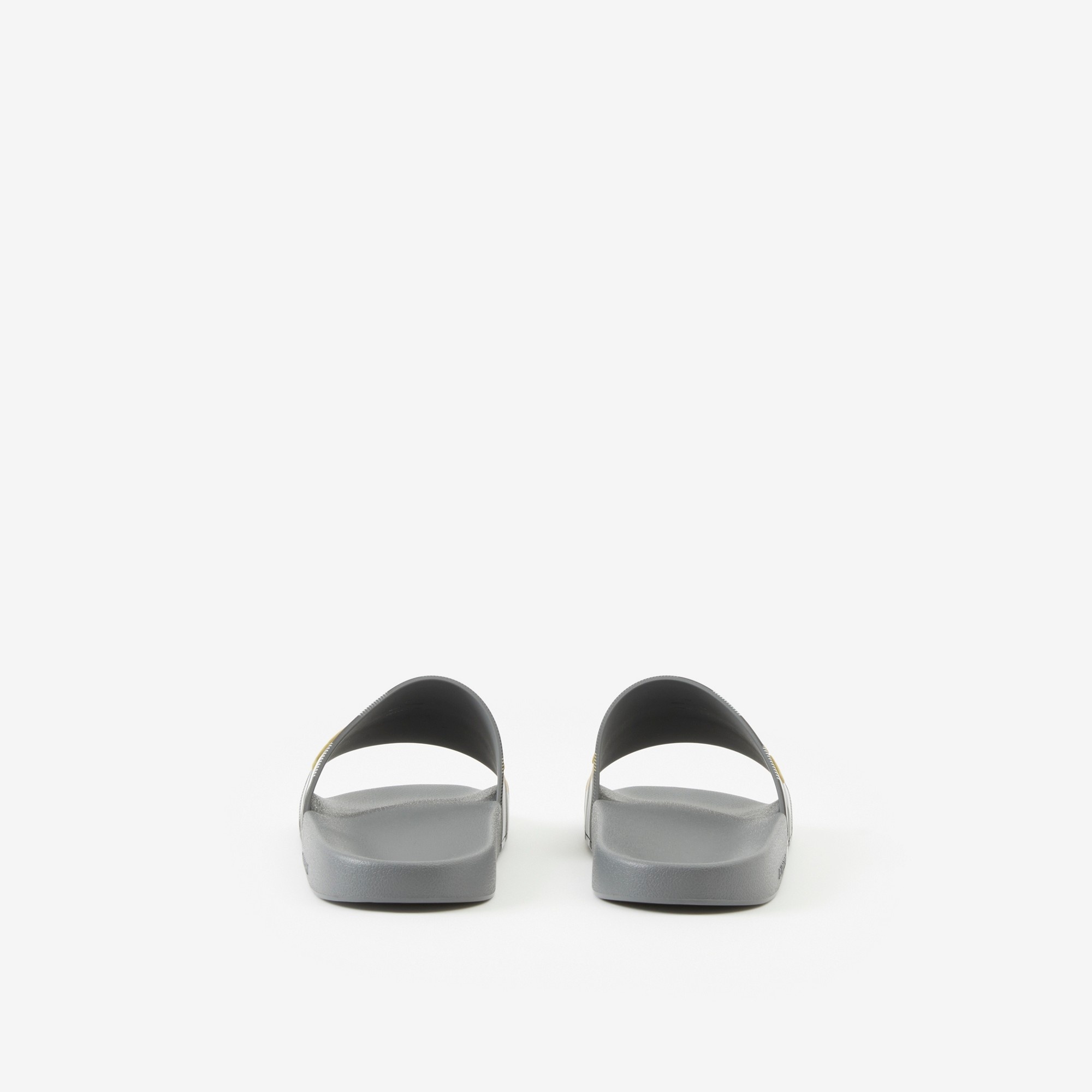 Logo Detail Check Slides - 3