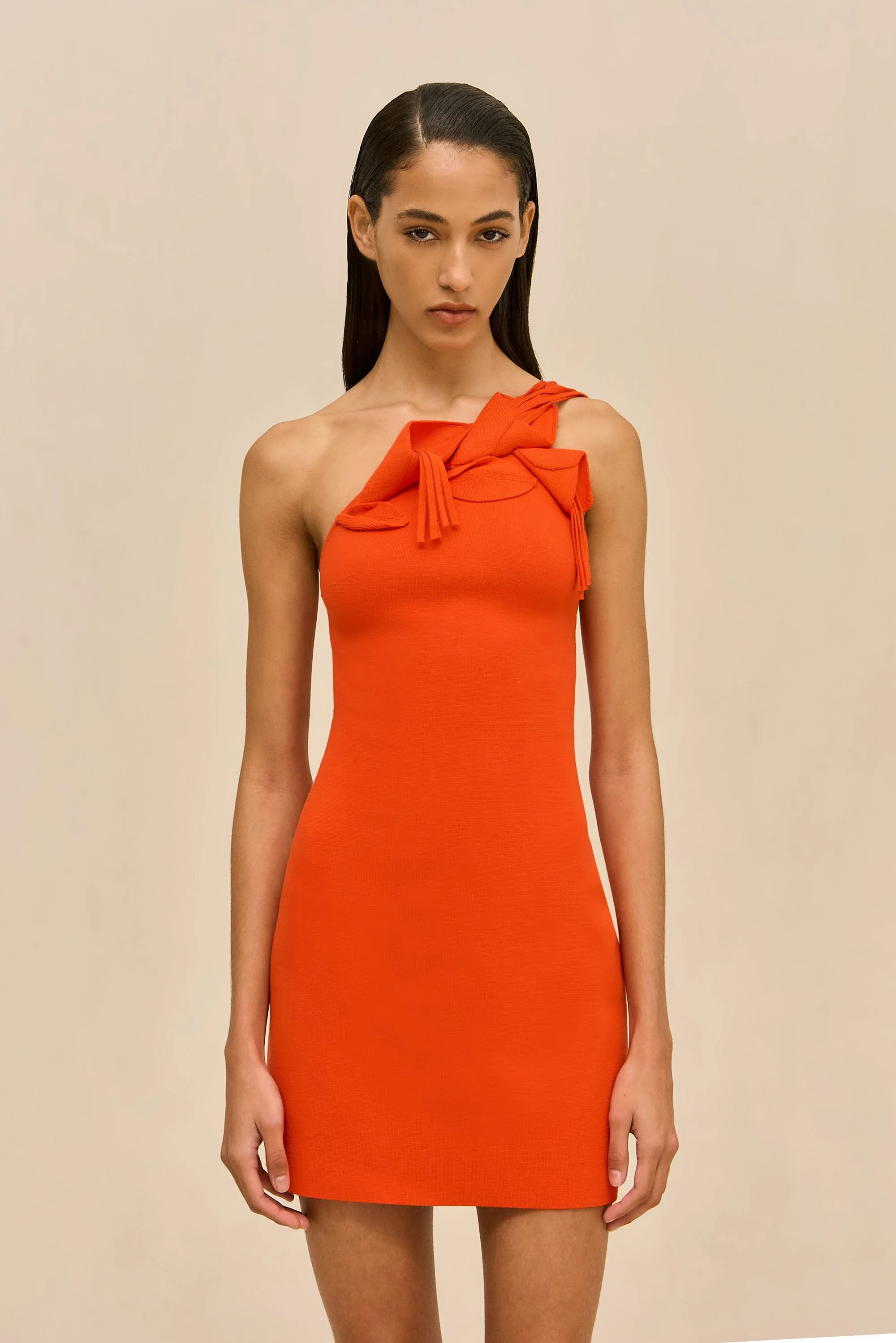 CAMELIA KNIT DRESS - 1