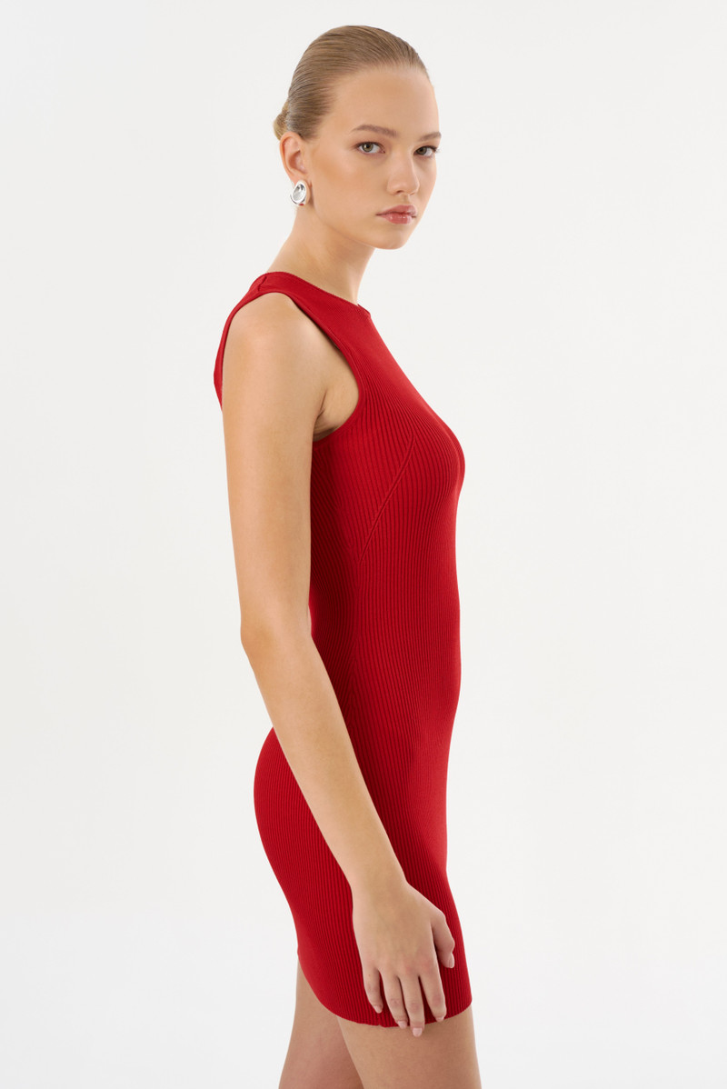 SHAY | Rib Knit Mini Dress 5