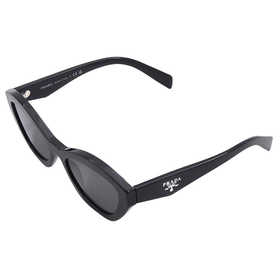 Prada Dark Grey Cat Eye Ladies Sunglasses PR A02S 16K08Z - 5