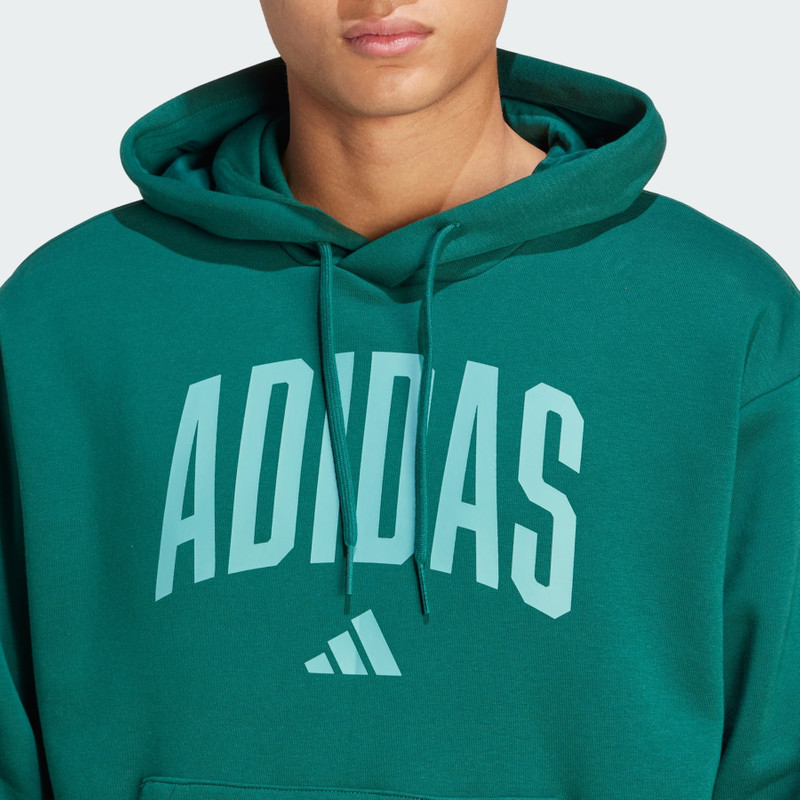 Collegiate Hoodie 5