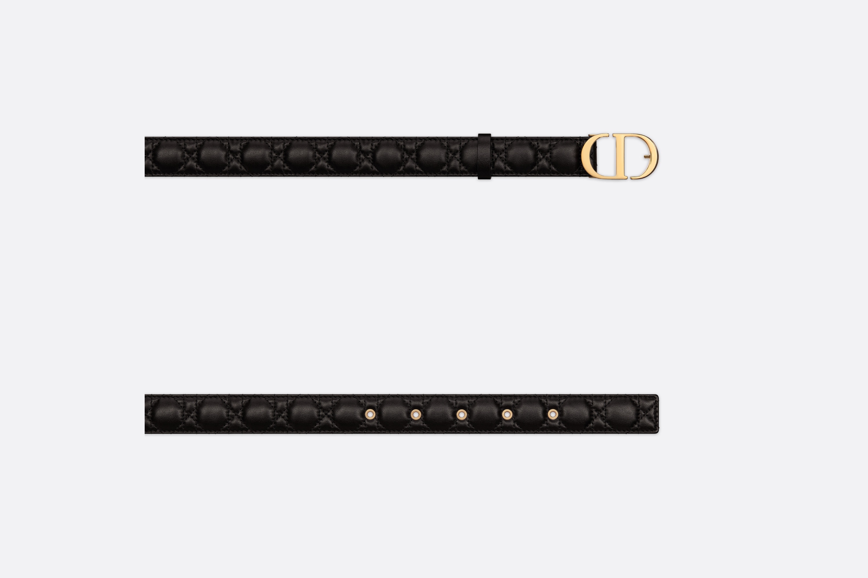 Dior 30 Montaigne Belt | REVERSIBLE