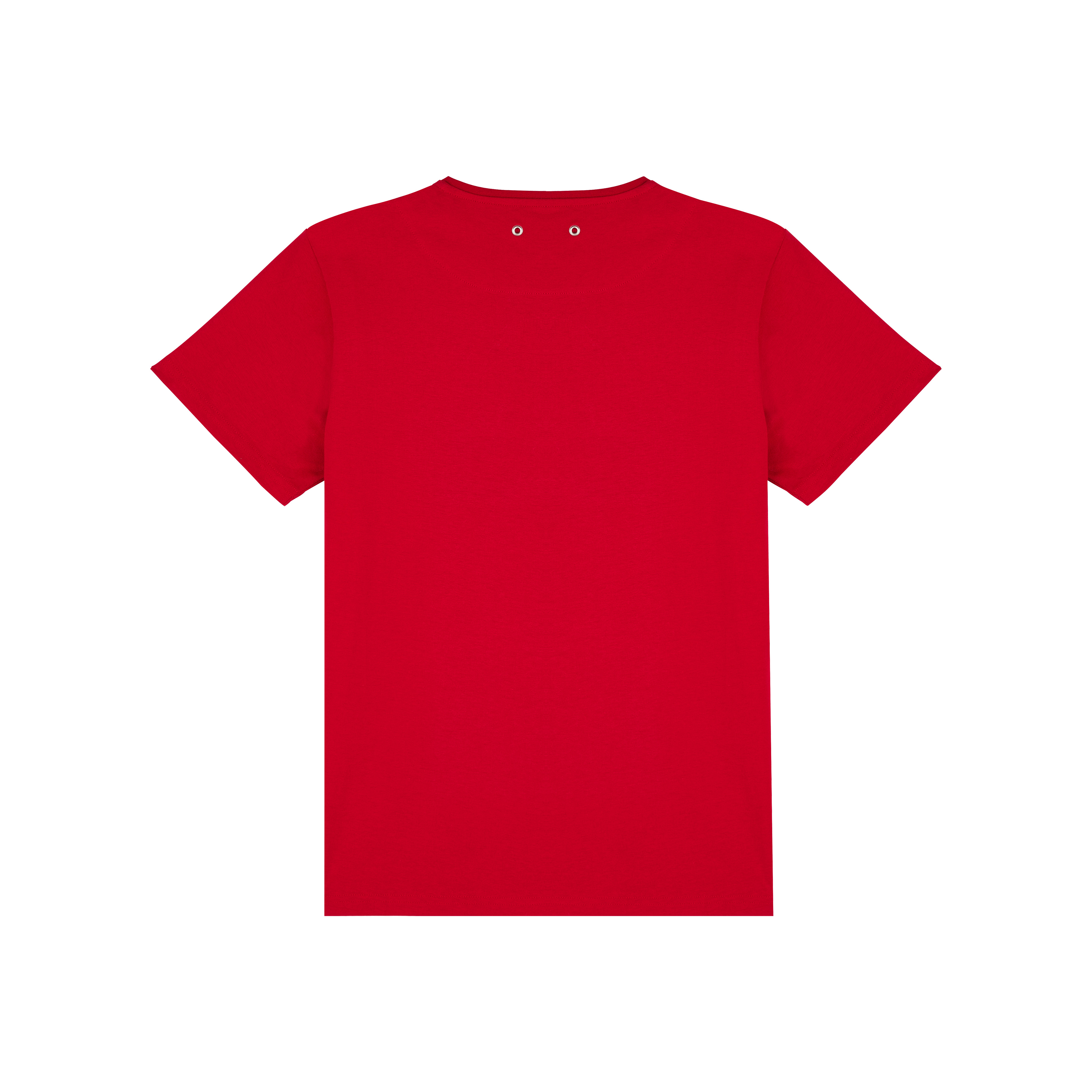 Men Organic Cotton T-shirt The Year Of The Snake - 2