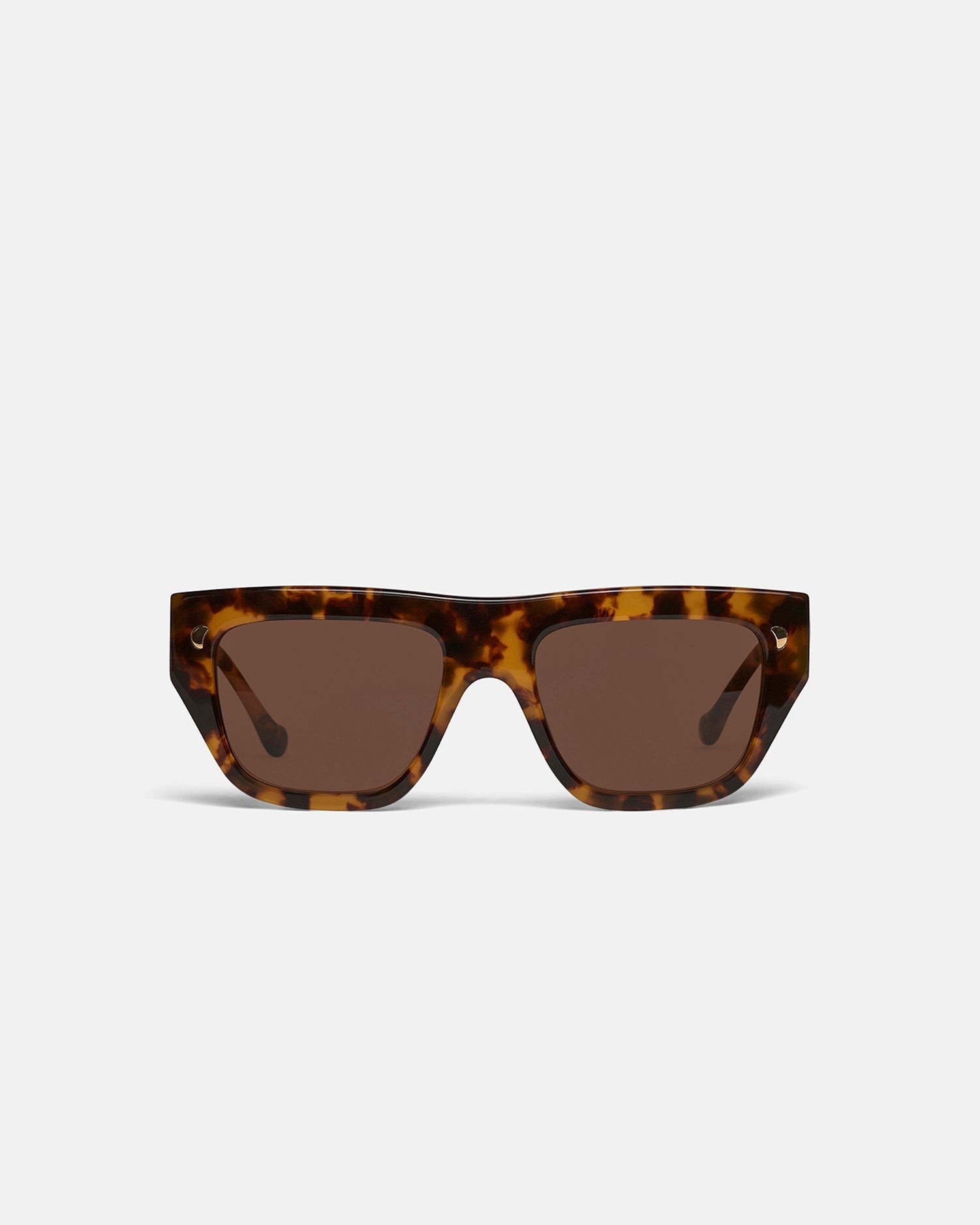 Bio-Plastic D-Frame Sunglasses - 1