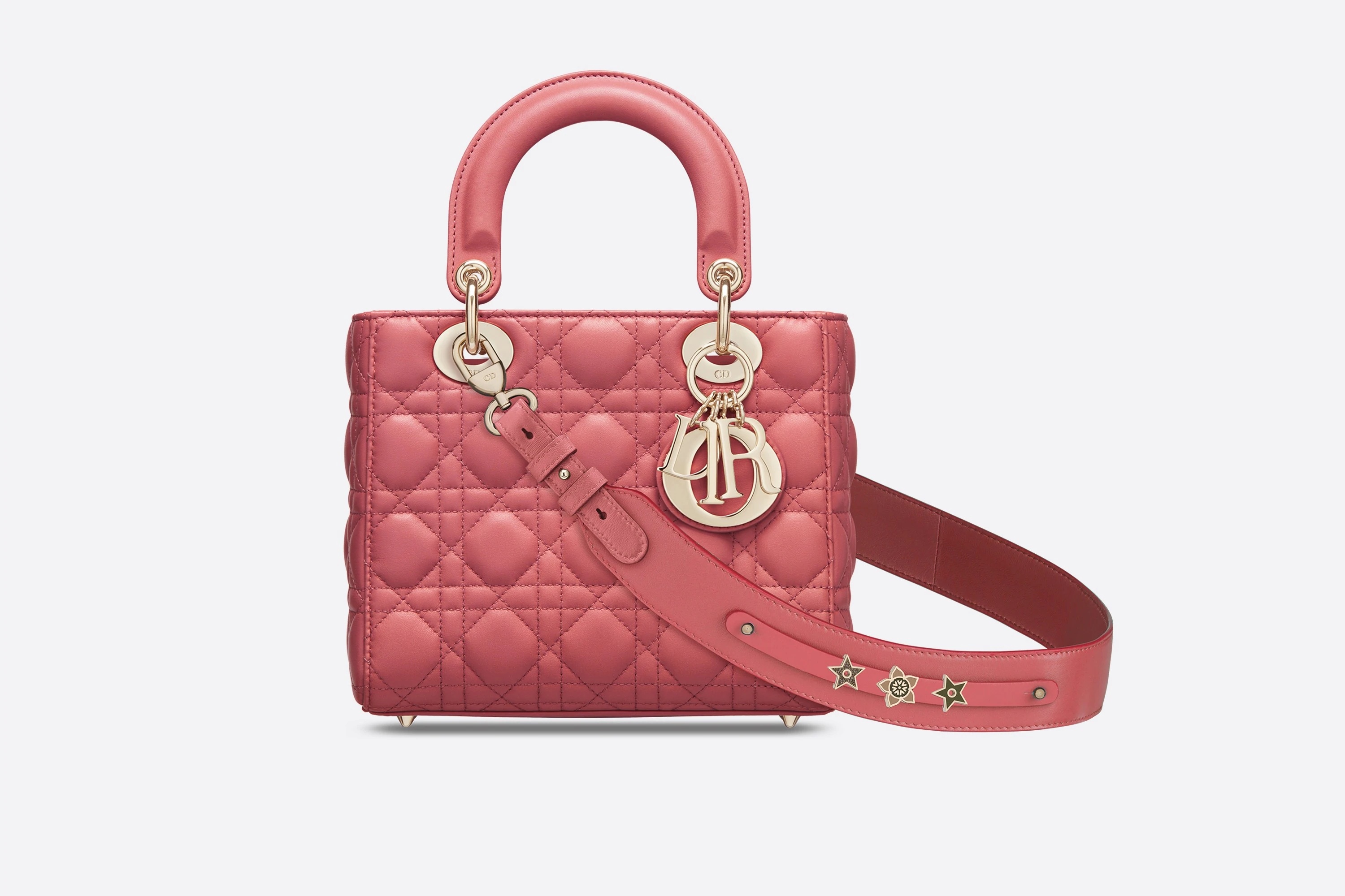 My ABCDior Lady Dior Bag - 1