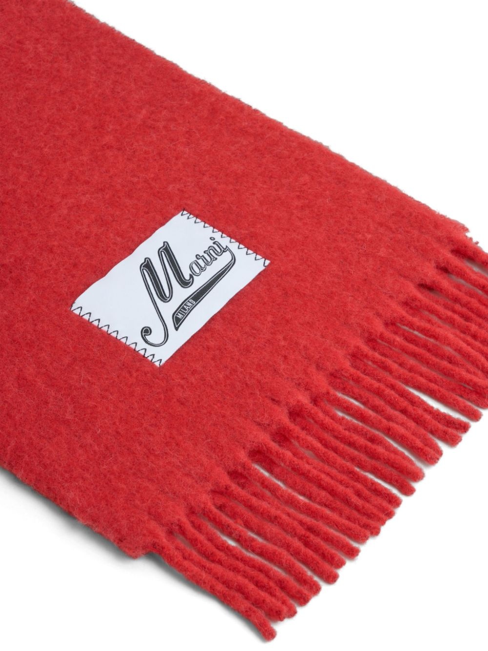 fringed scarf - 2