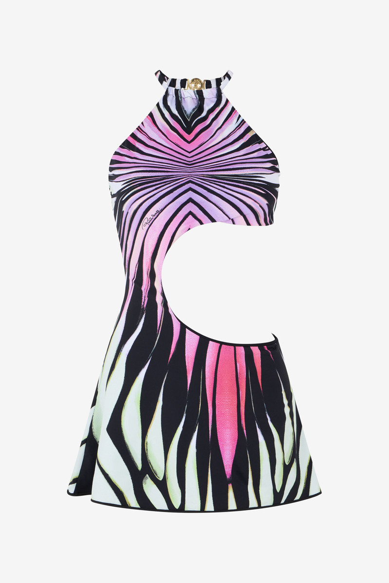 Ray of Paradise Print Dress Mini 1