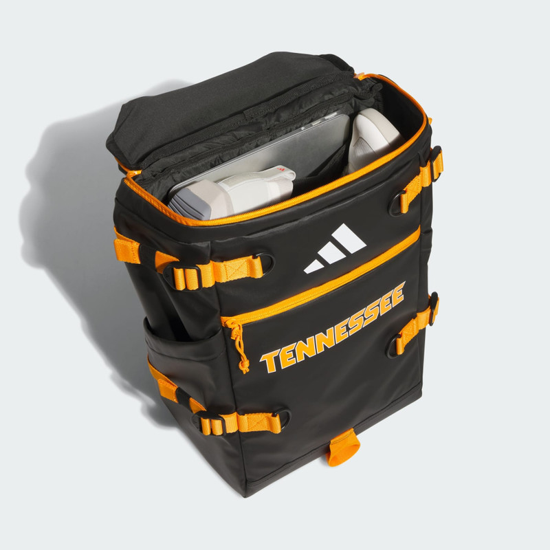 Collegiate Vista Backpack 5