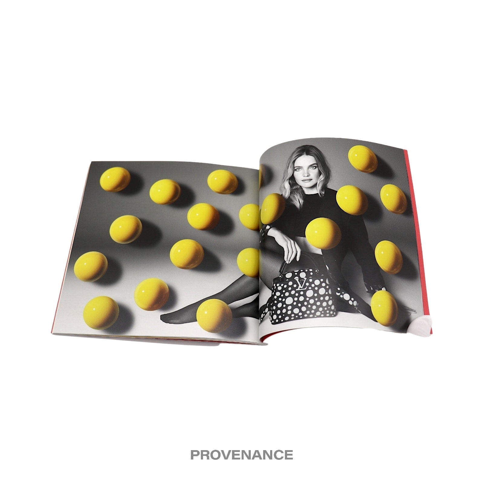 Louis Vuitton X Yayoi Kusama Catalog Book - 6