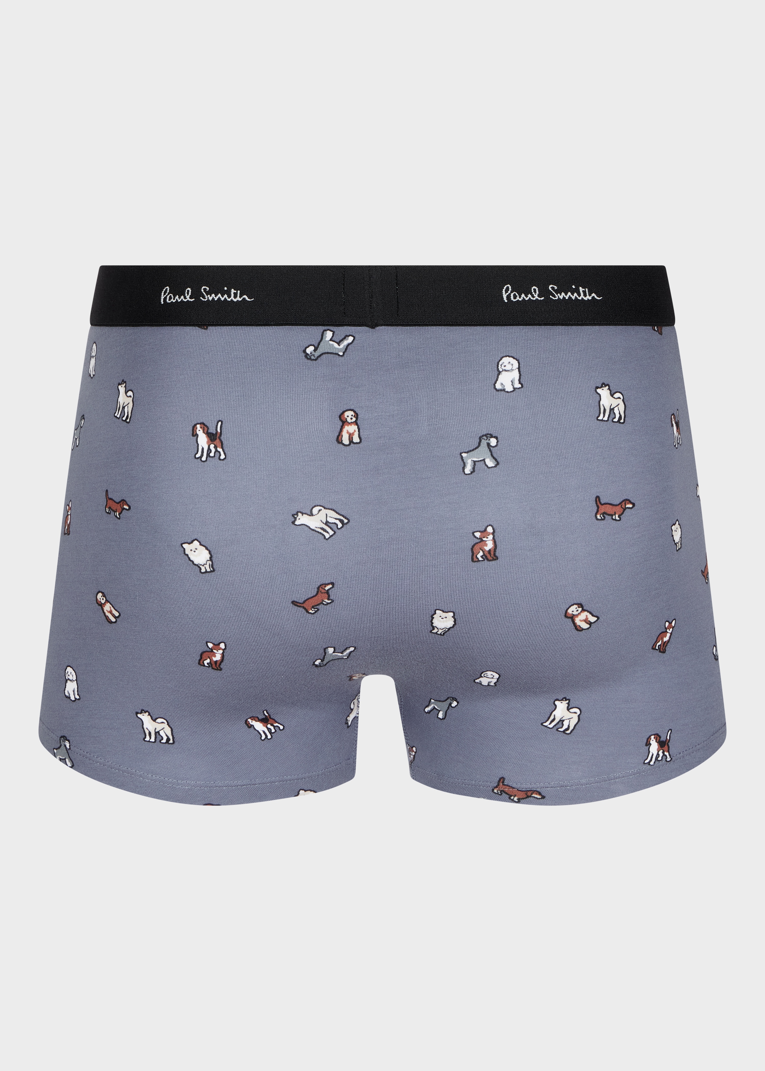 Light Blue 'Japan Dogs' Print Boxer Briefs - 2