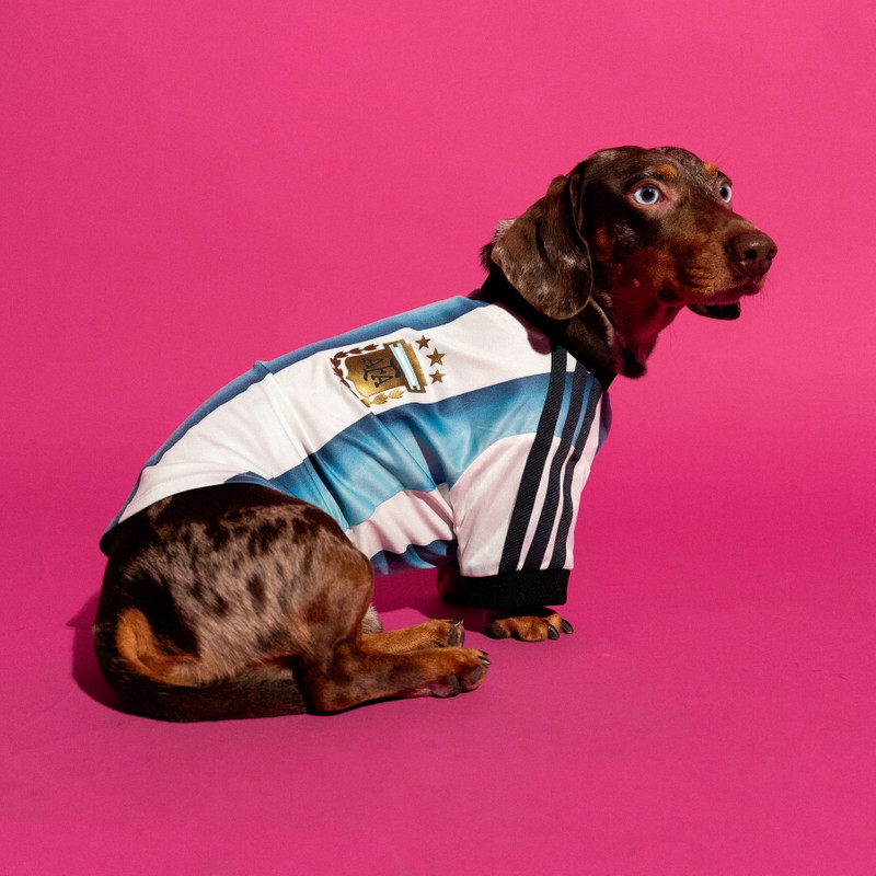 Pet Jersey 26 Argentina 3
