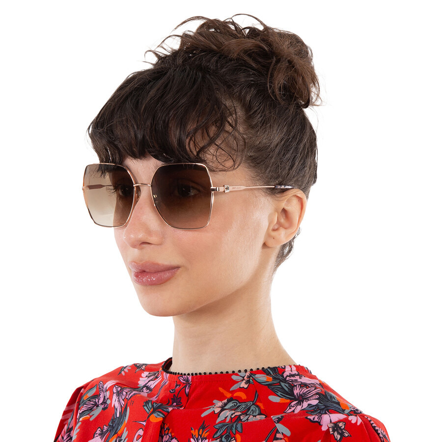 Jimmy Choo Brown Gradient Butterfly Ladies Sunglasses REYE/S 0DDB/HA 59 - 2