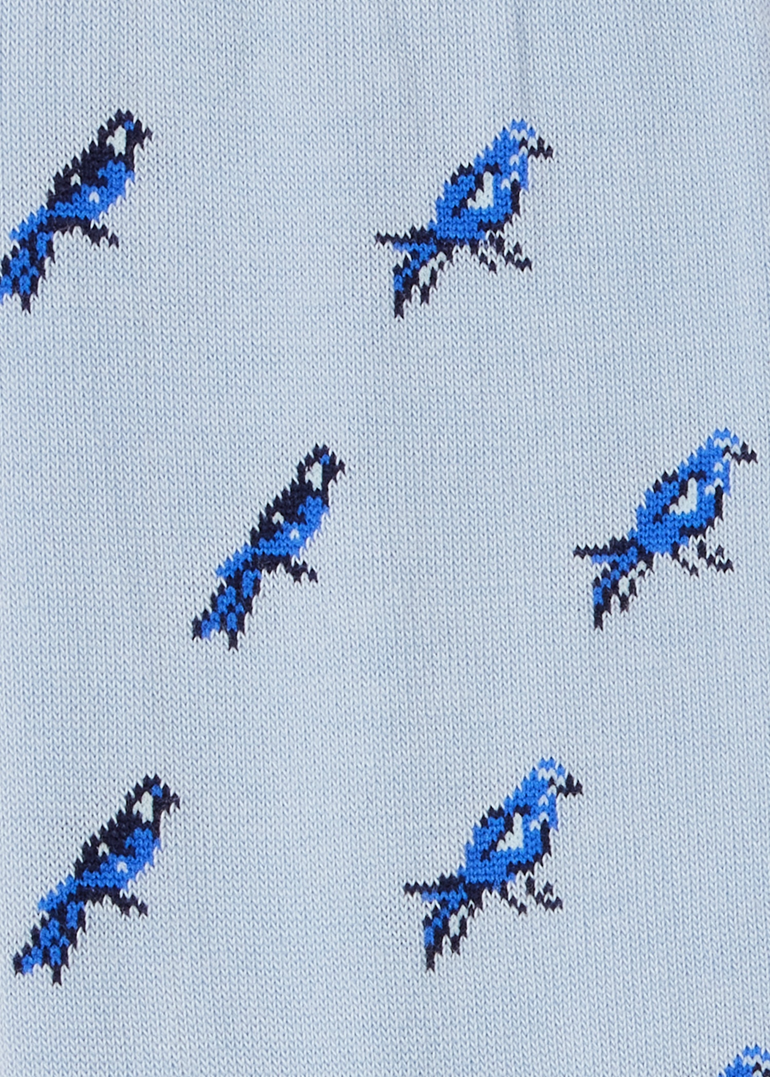 Blue 'Little Birds' Socks - 3