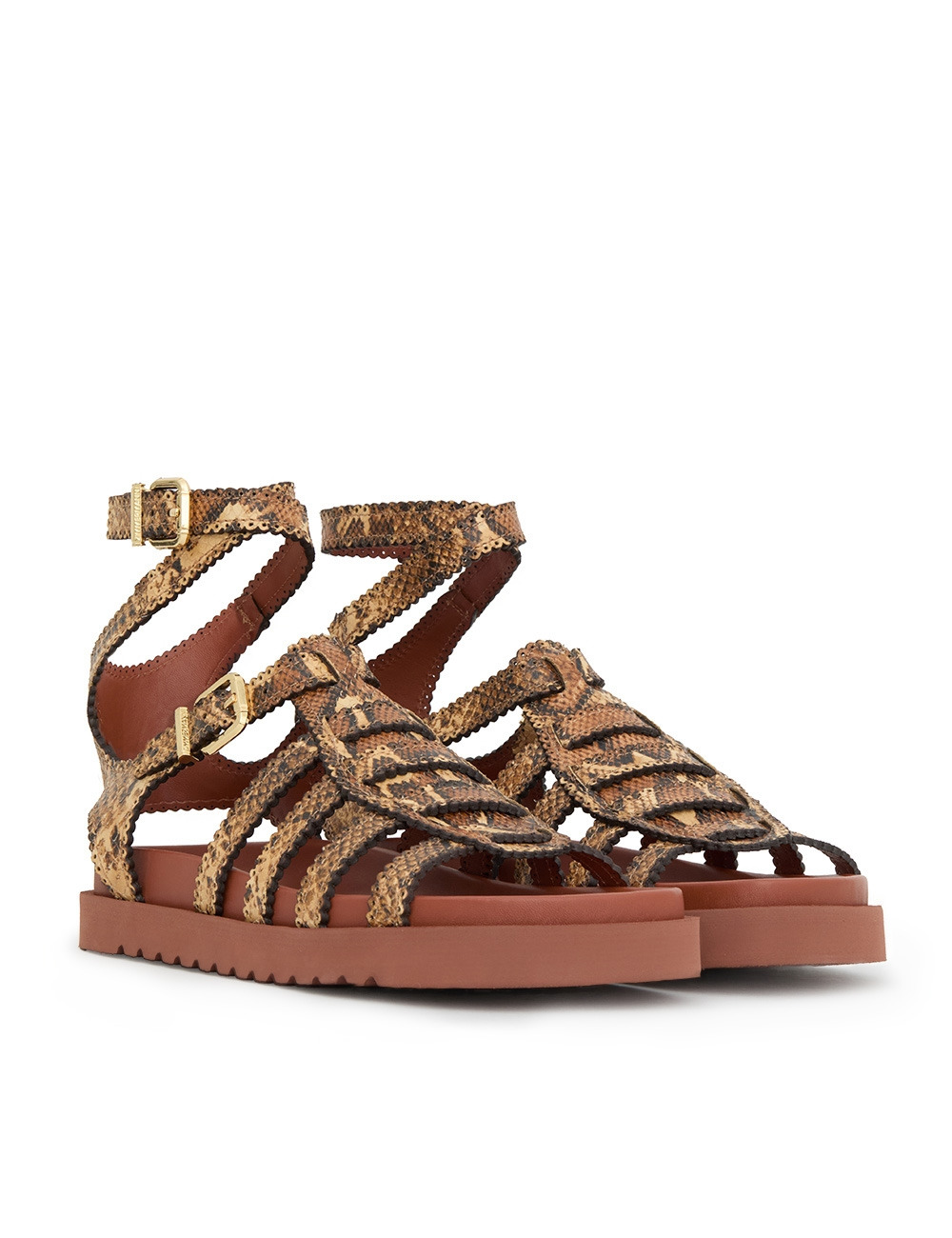 GOLDIE GLADIATOR - 3