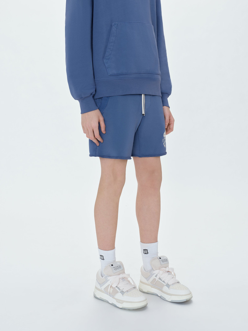 AMIRI AMIRI 22 SHORTS outlook