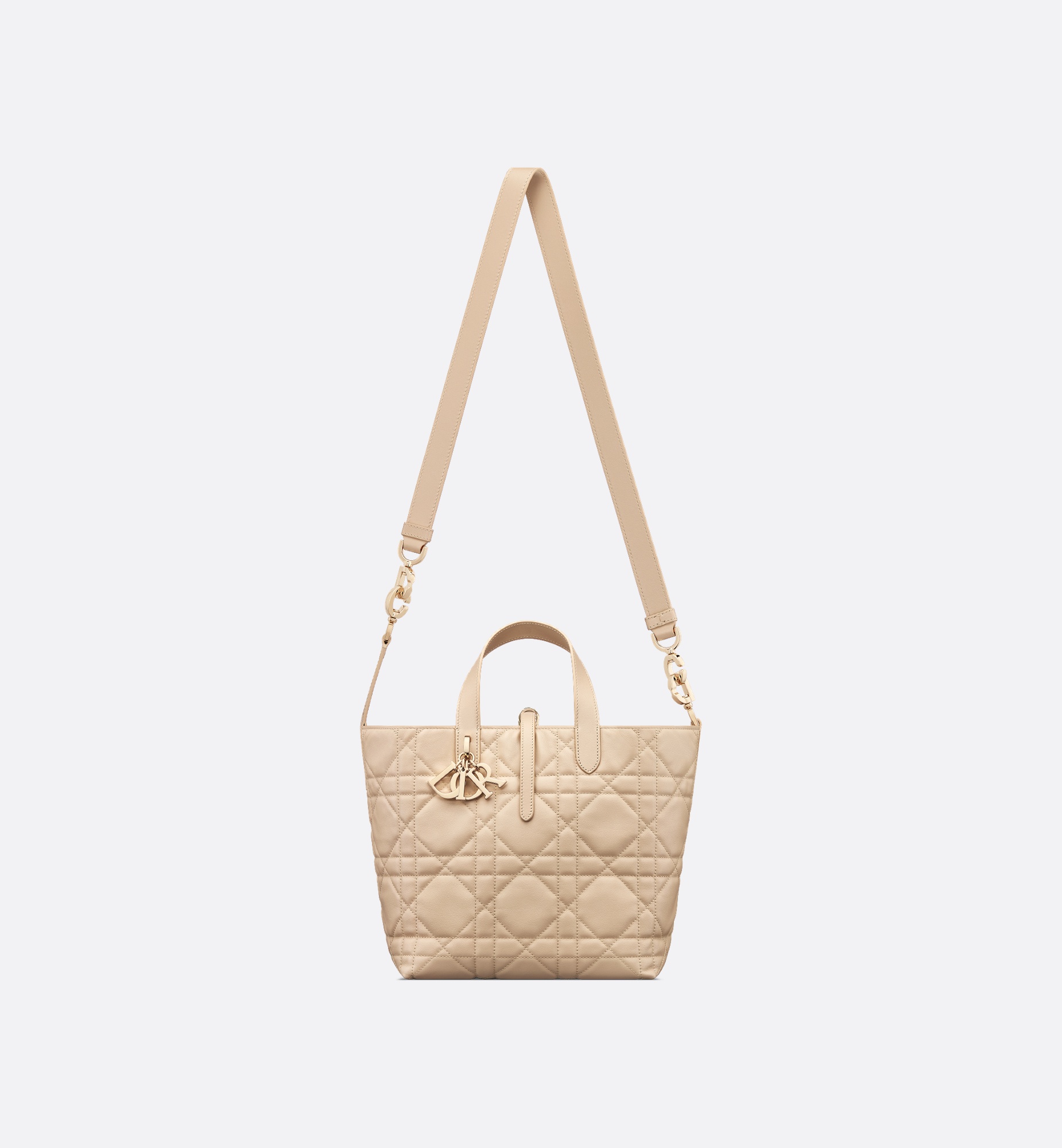 Medium Dior Toujours Vertical Tote Bag - 5