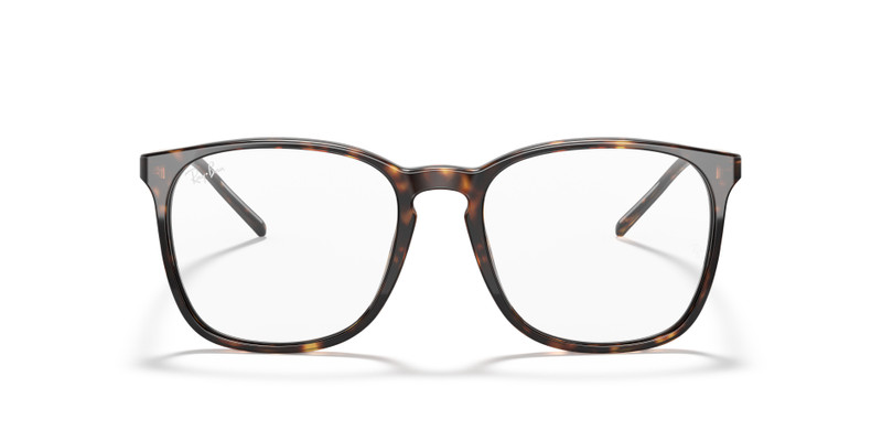RB5387 OPTICS 4