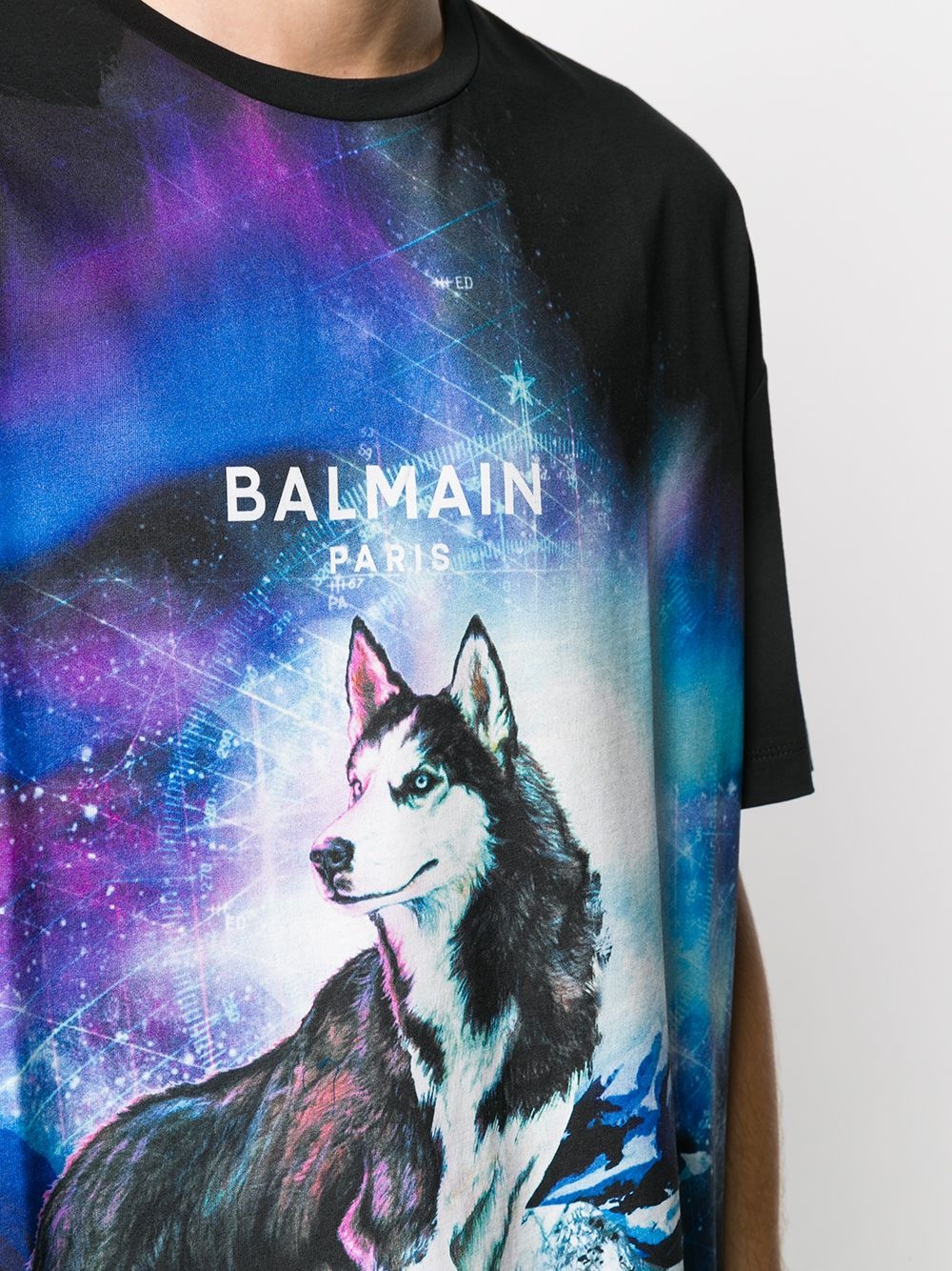 Arctic wolf T-shirt - 5