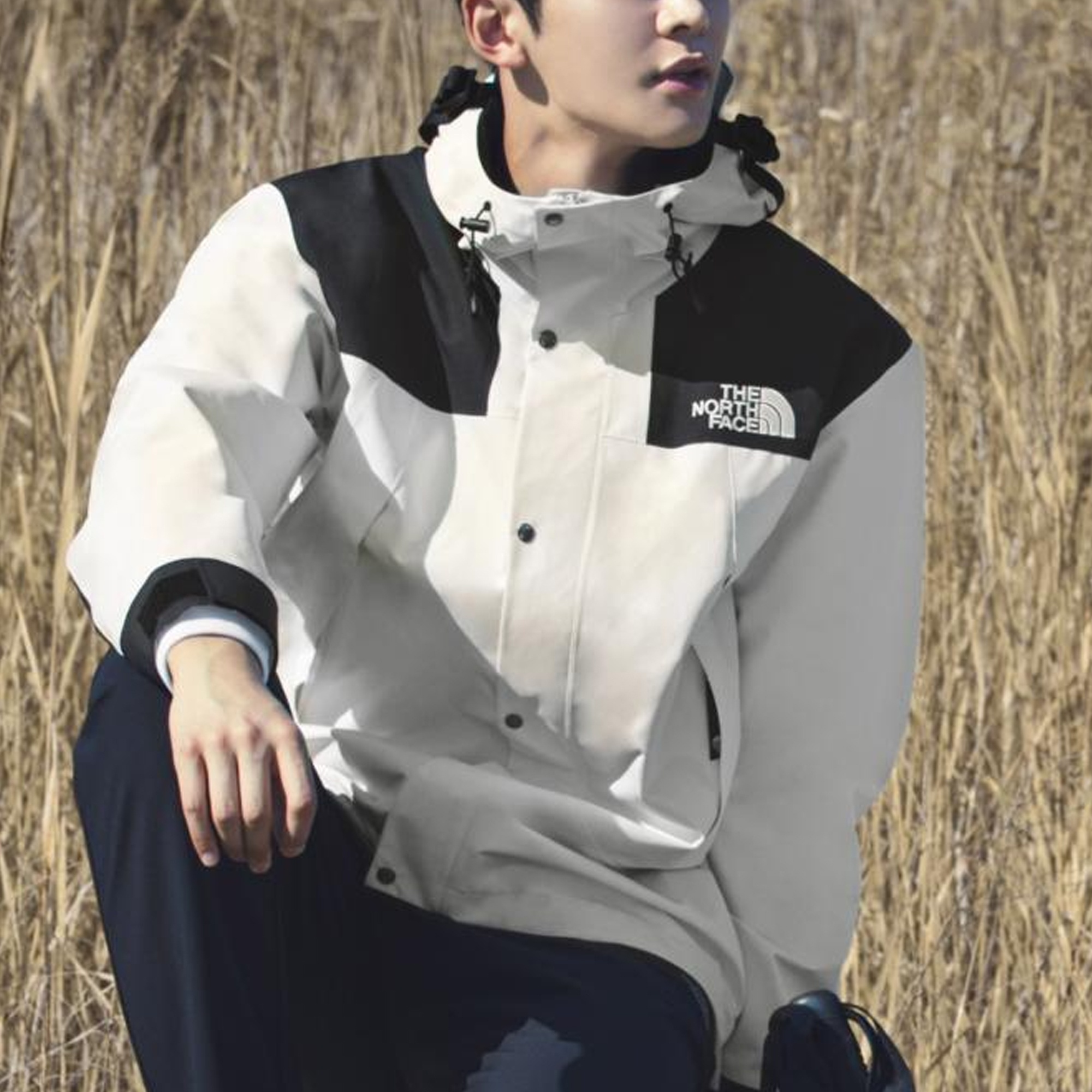 THE NORTH FACE Eco Gtx Mountain Jacket 'White' NJ2GN50A - 5