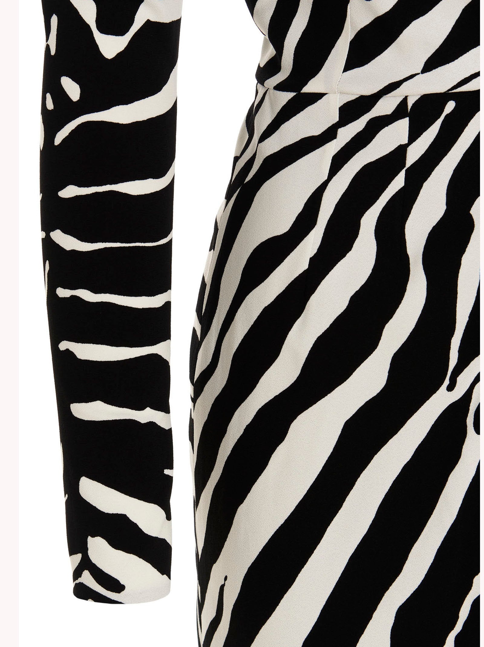 Dolce & Gabbana ‘Zebra’ Dress - 4