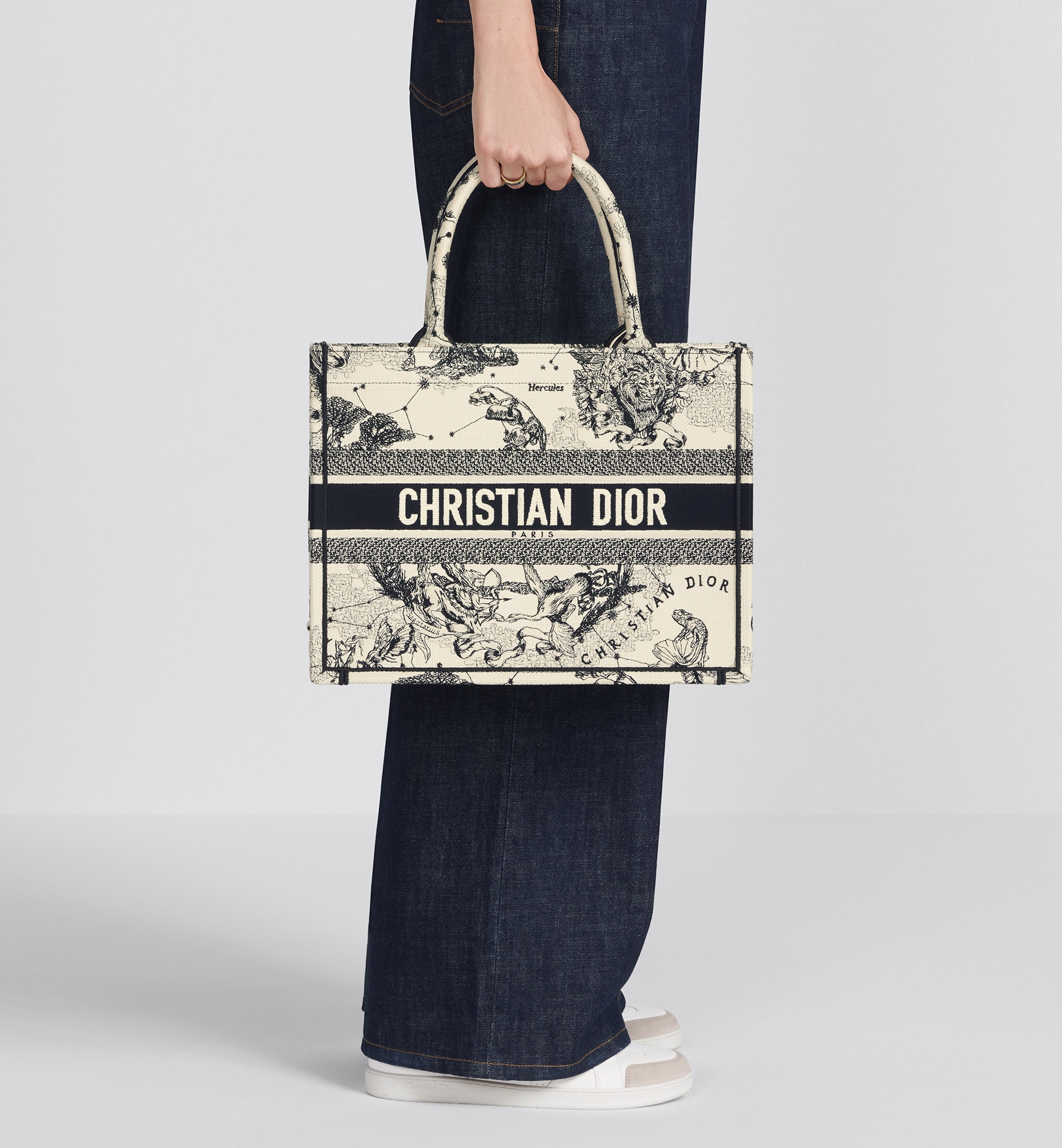 Medium Dior Book Tote - 2