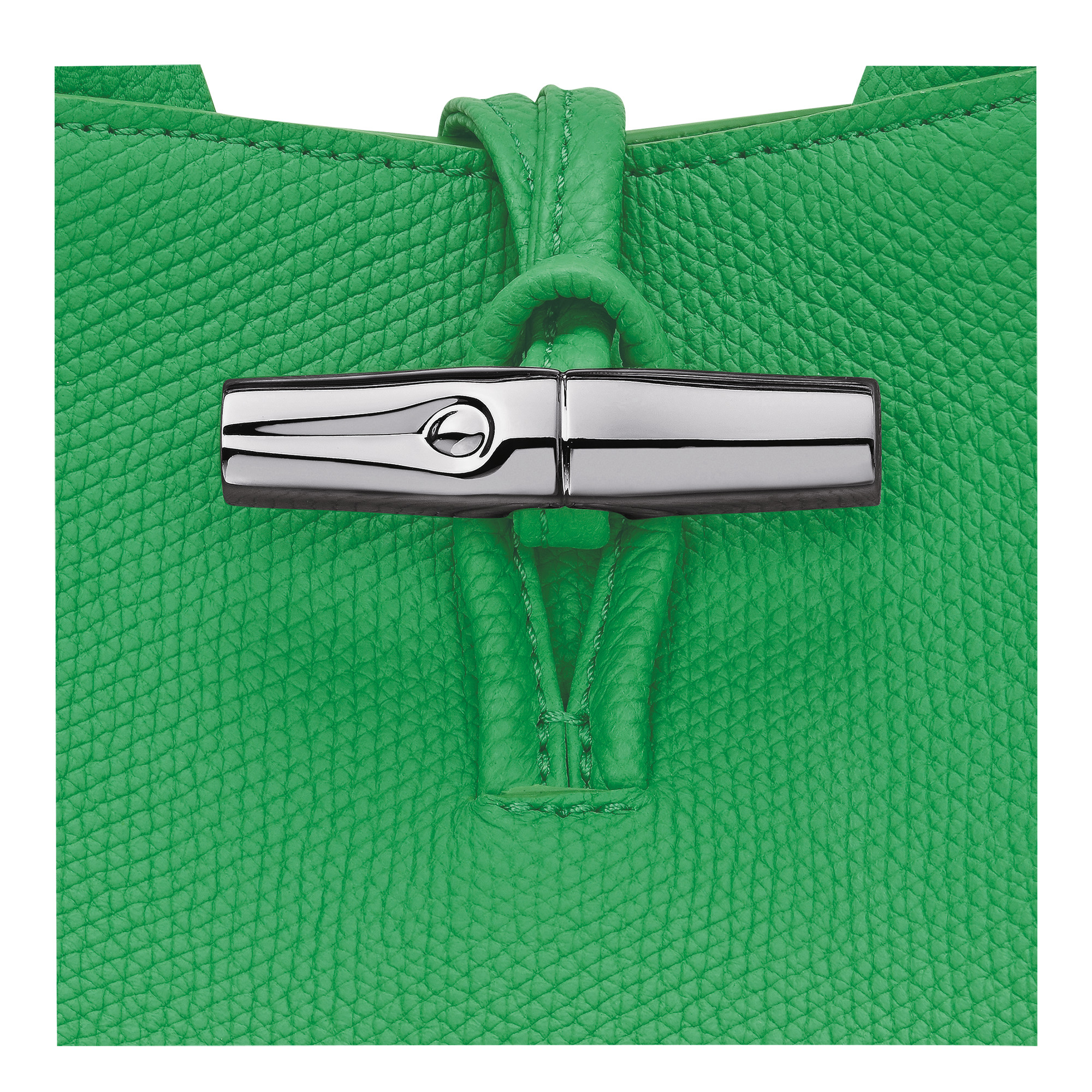 Le Roseau S Handbag Spring Green - Leather - 6