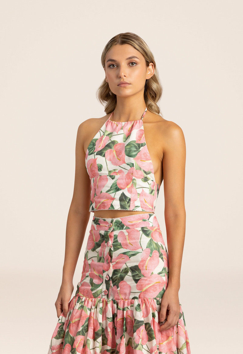 Castana Anturios Cropped Top 5
